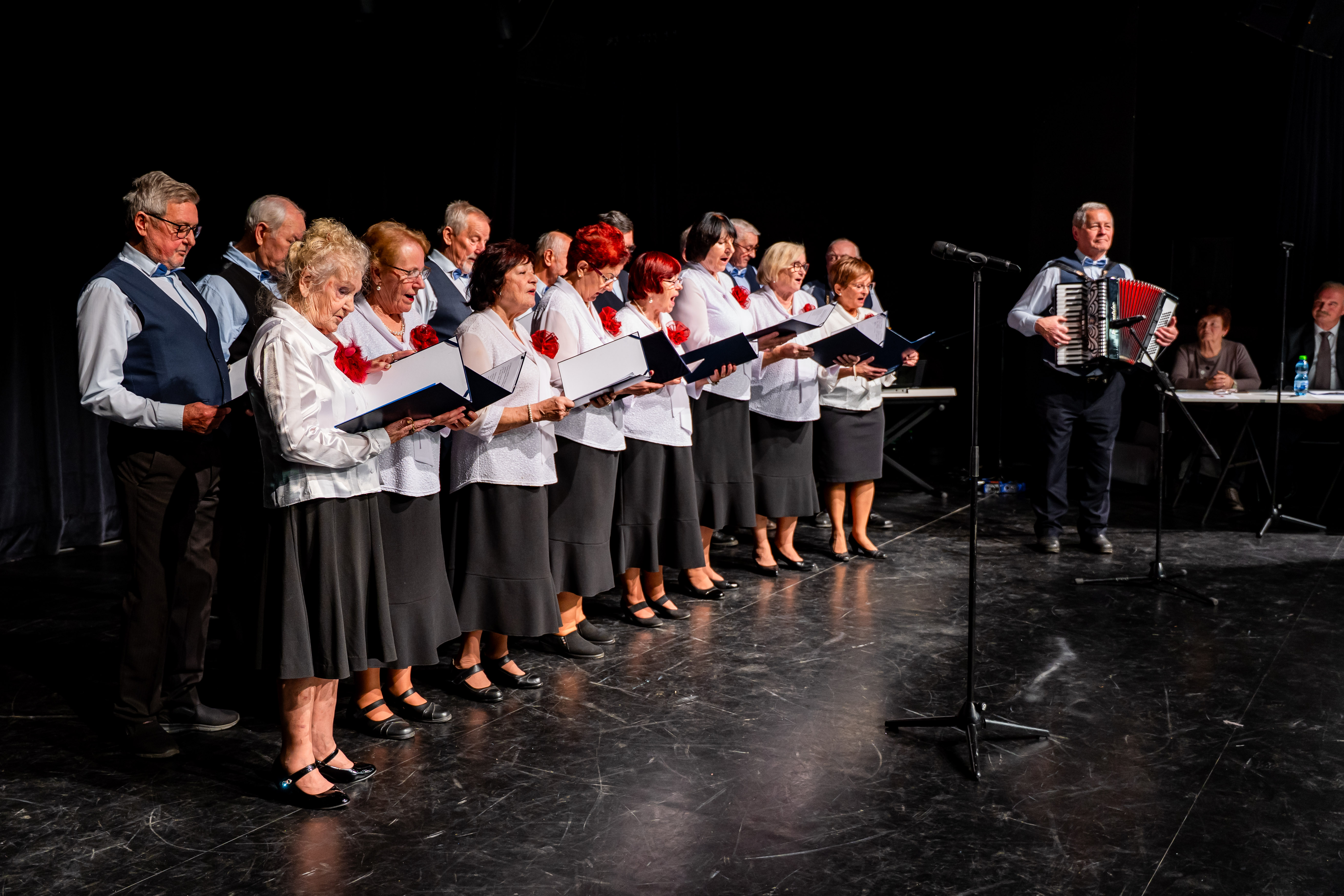 Vianocna seniorska hviezda -50